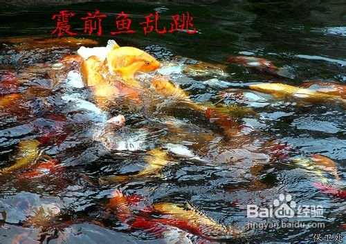 怎样预知地震前兆