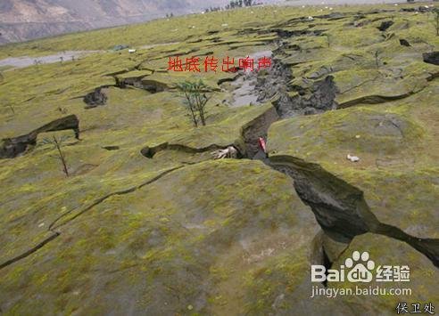 怎样预知地震前兆